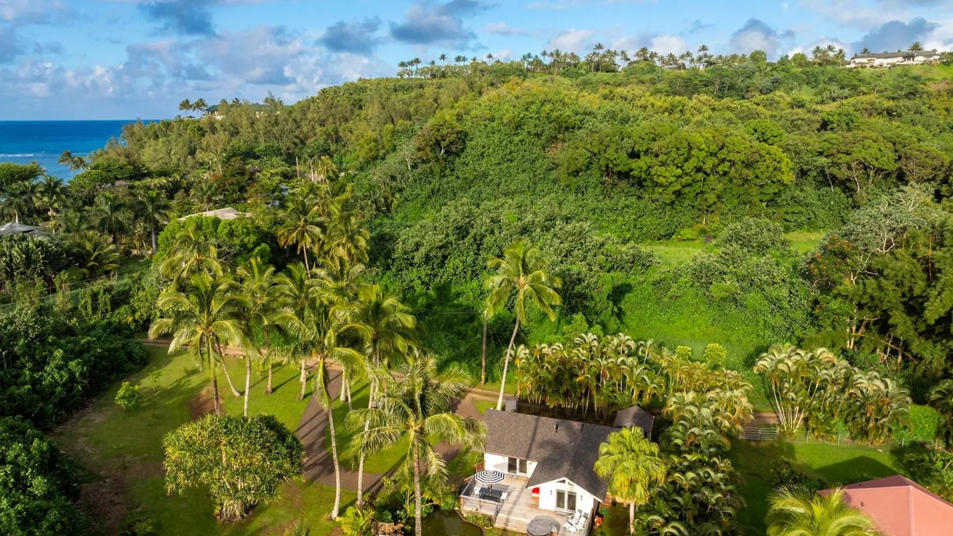 Coconut Hut Home Kilauea